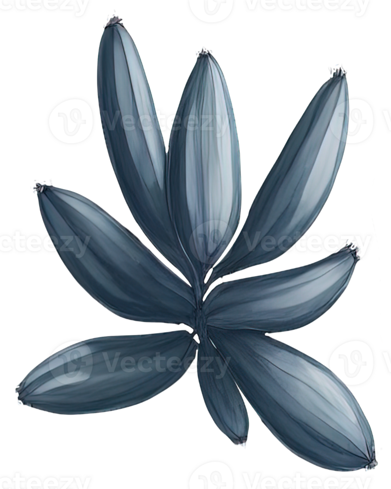 Watercolor Succulent illustration. png