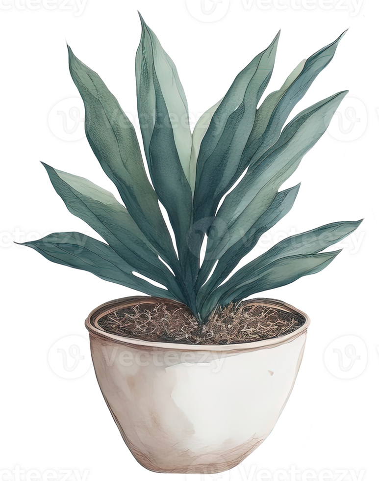 Watercolor House plant. png