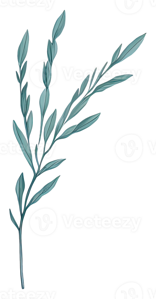 Watercolor green leave. png