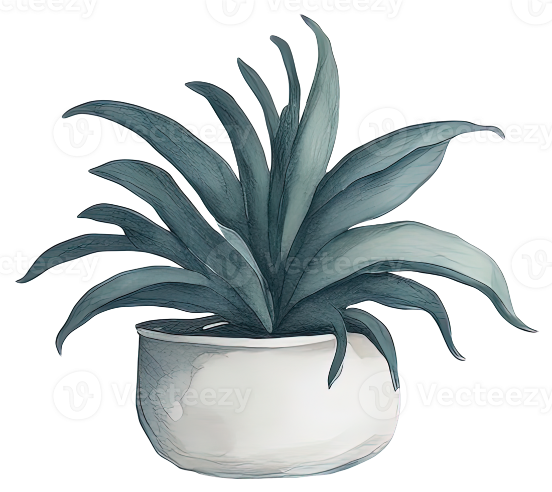 Watercolor House plant. png