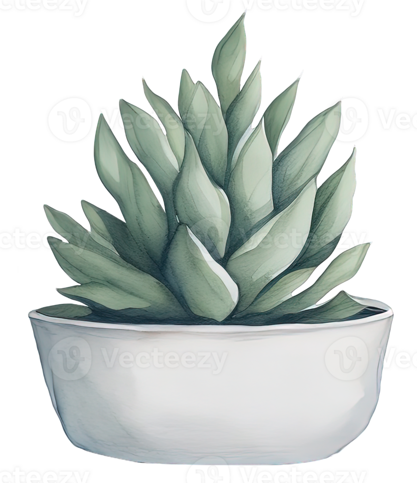 Watercolor House plant. png