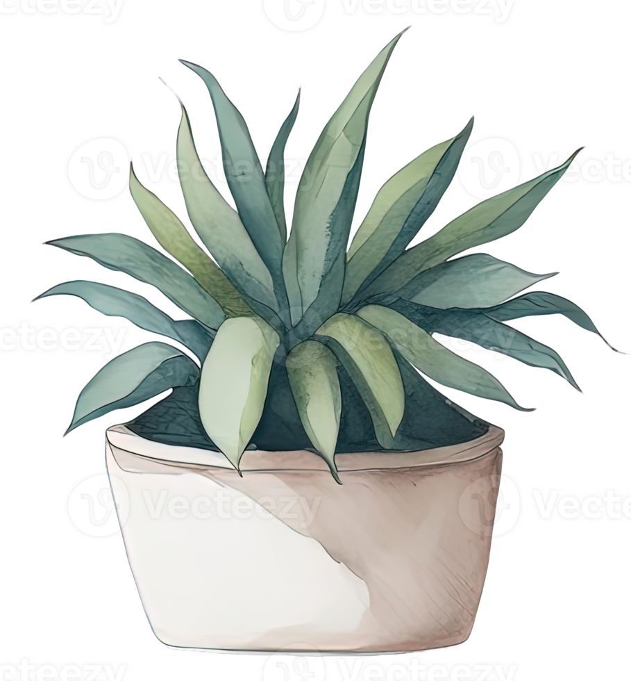 Watercolor House plant. png