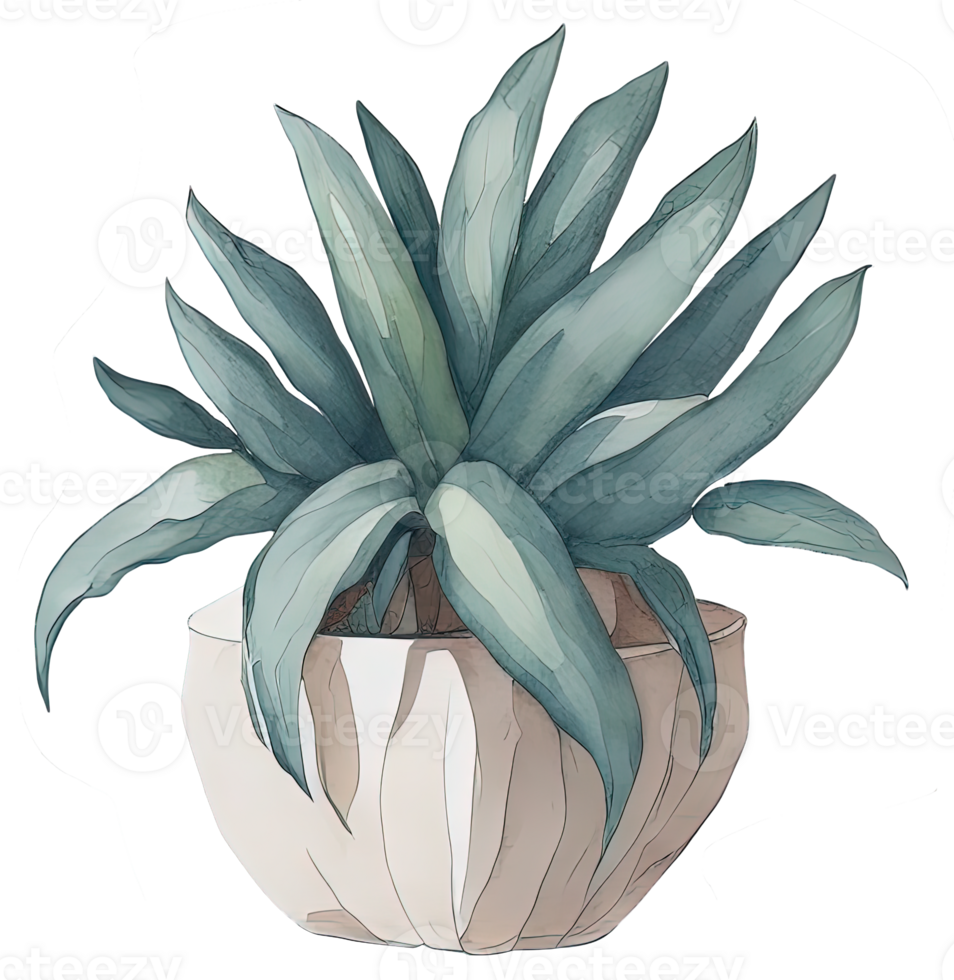 Watercolor House plant. png