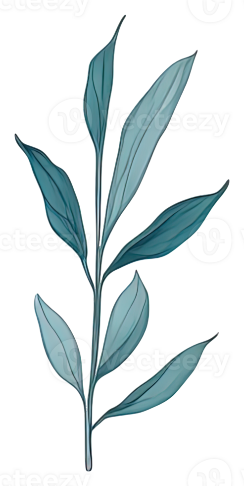 Watercolor green leave. png