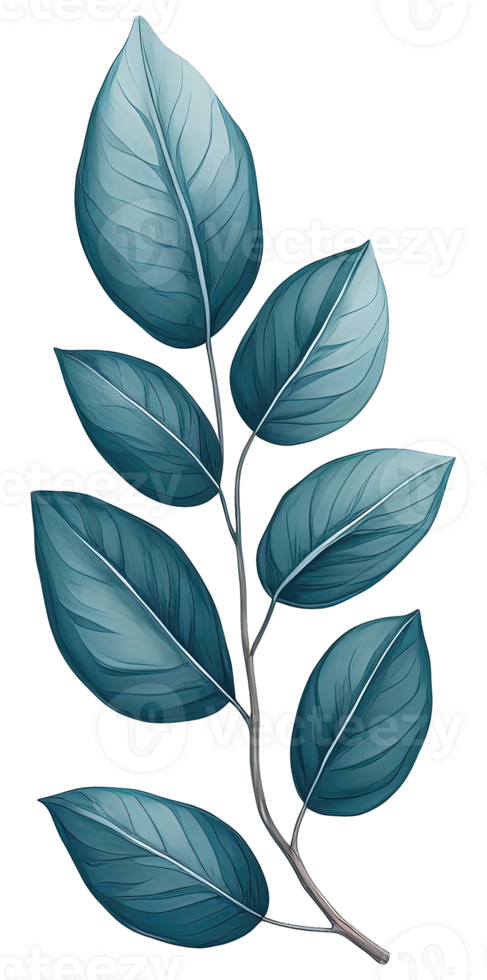 Watercolor green leave. png