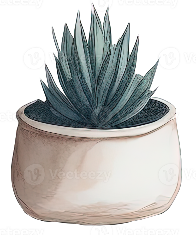 Watercolor House plant. png