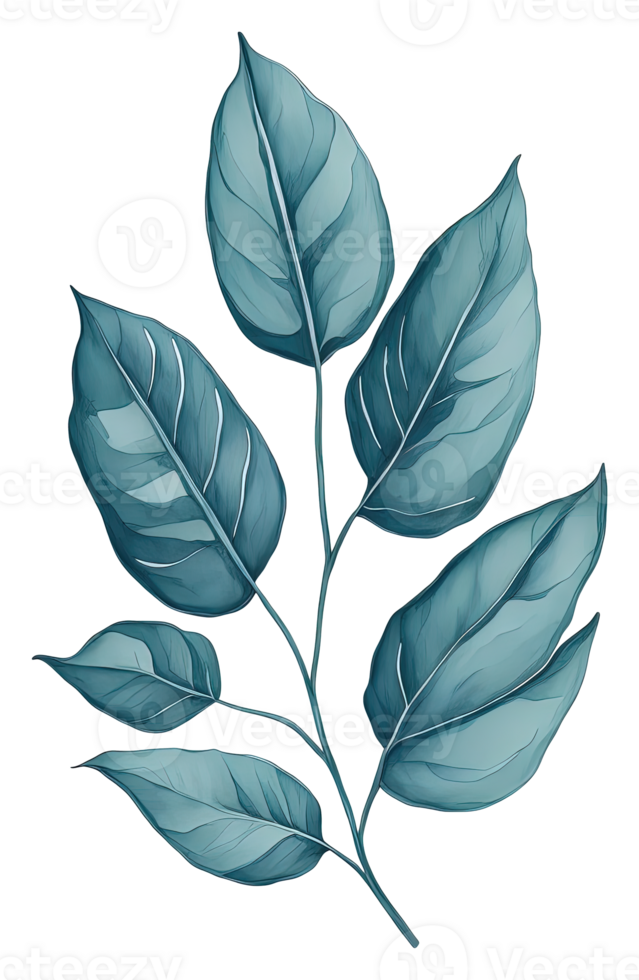Watercolor green leave. png