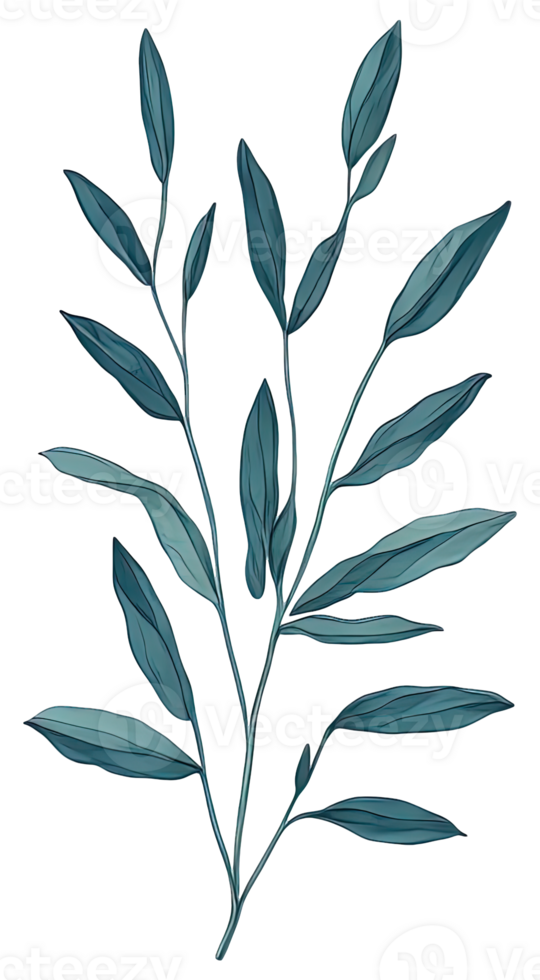 Watercolor green leave. png