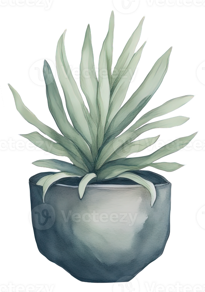 Watercolor House plant. png