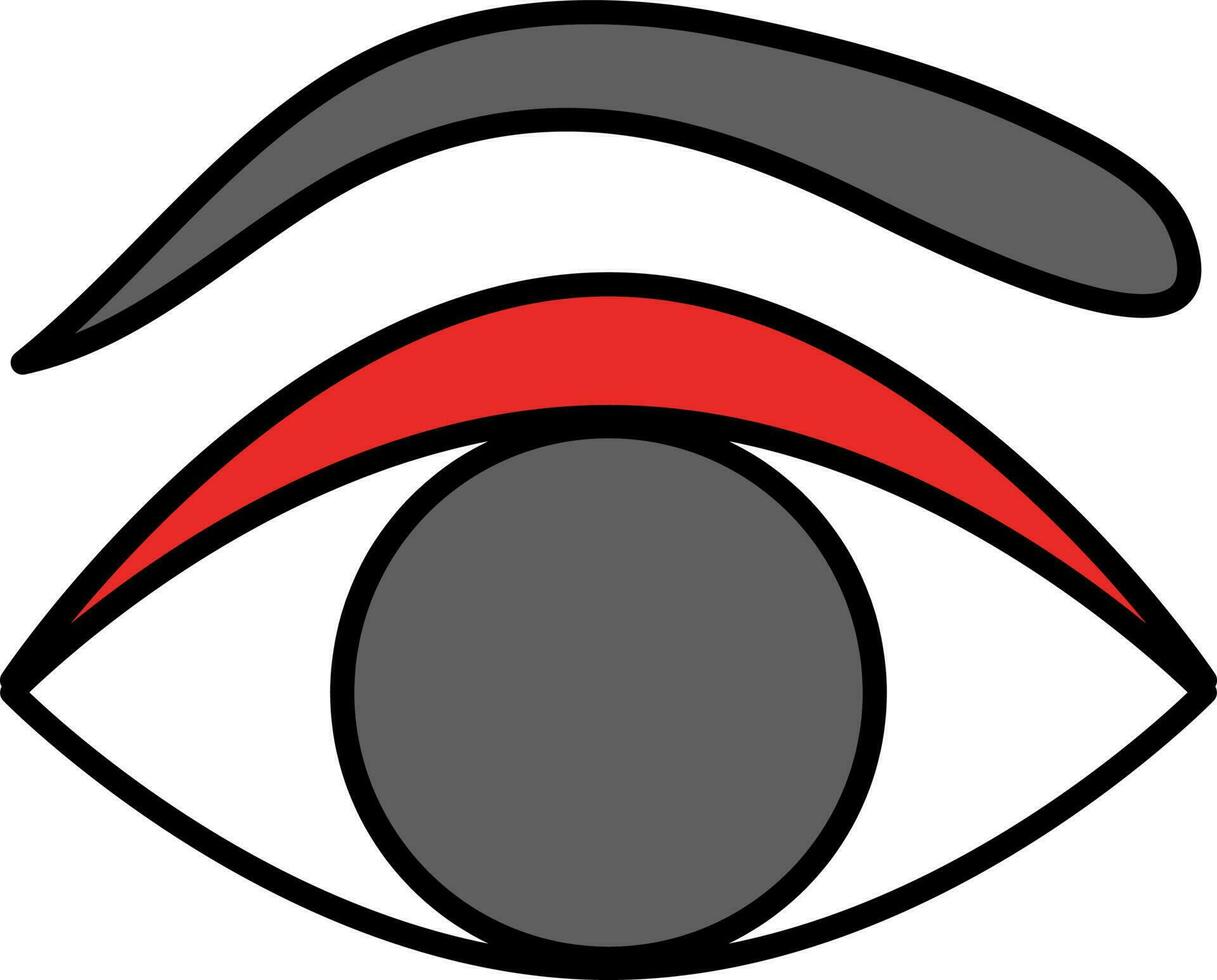 Eye With Brow Icon In Grey And Red Color. vector