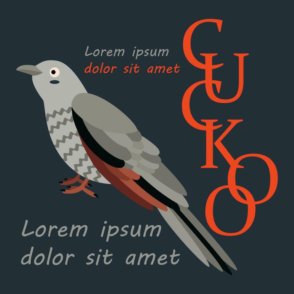 Poster, banner with cuckoo bird and text. Poster layout design. Letters. vector