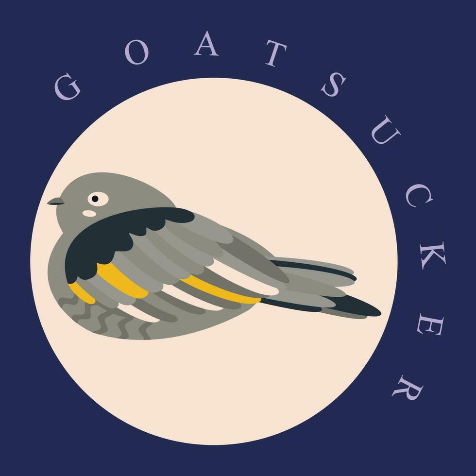 Poster, banner with goatsucker bird, European Nightjar and text. vector