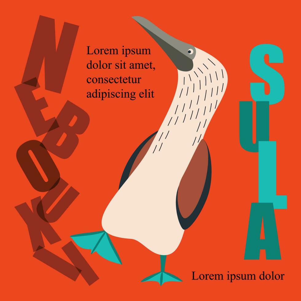 Poster, banner with sula nebouxii bird and text. Poster layout design. vector