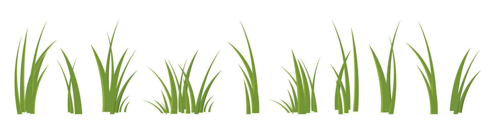 Cartoon grass leaves collection vector illustration isolated on white