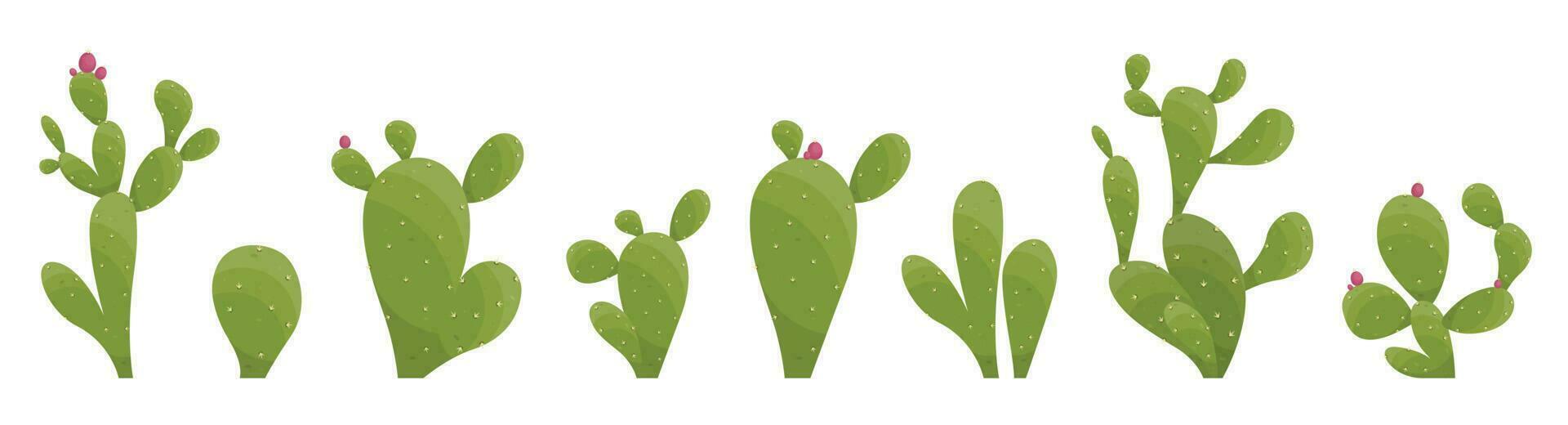 Cartoon desert cactus plants isolated on white. Desert plants vector illustration