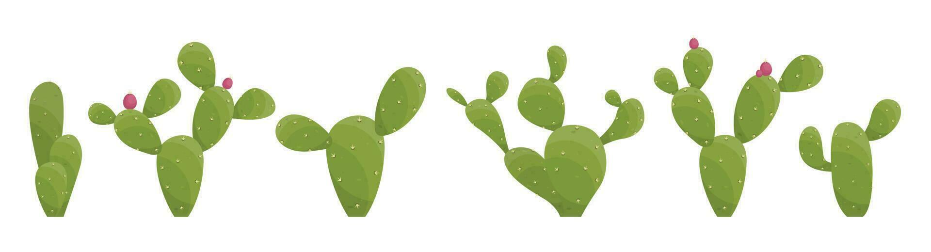 Cartoon desert cactus plants isolated on white. Desert plants vector illustration