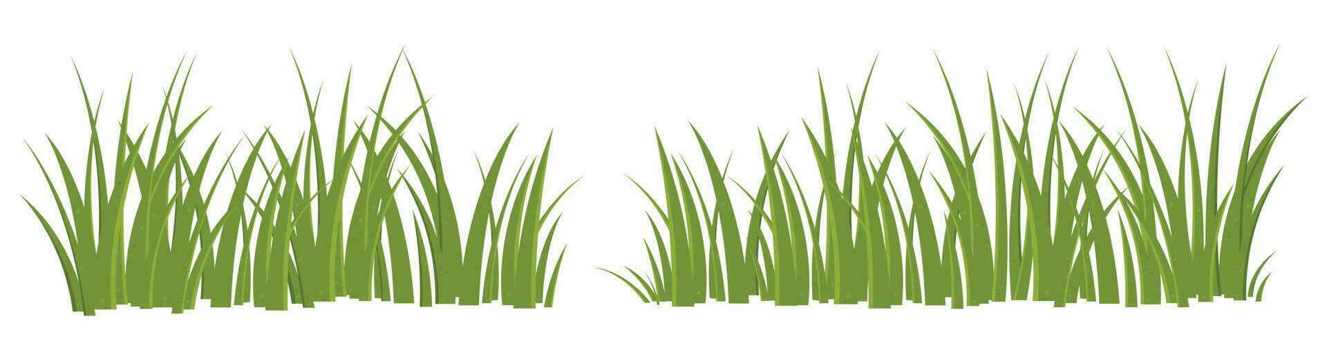 Cartoon grass leaves collection vector illustration isolated on white