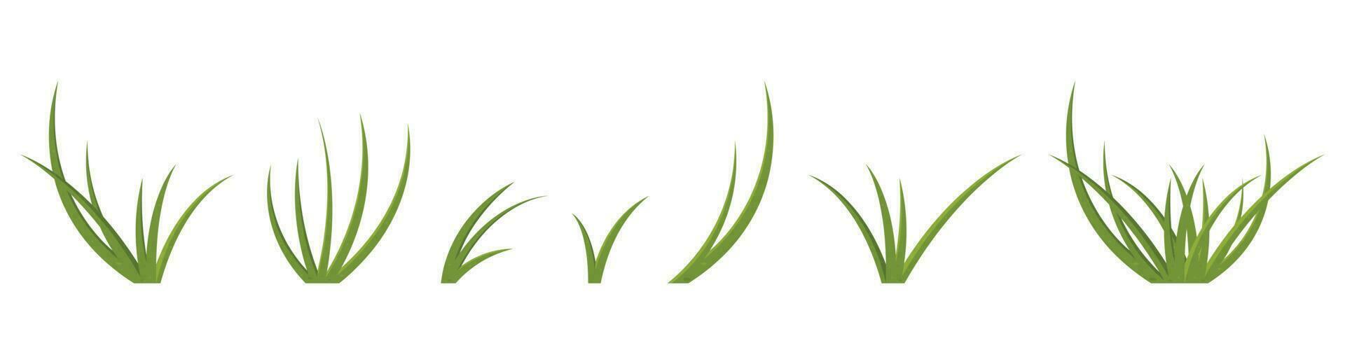 Cartoon grass leaves collection vector illustration isolated on white
