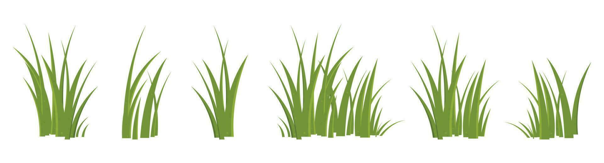 Cartoon grass leaves collection vector illustration isolated on white