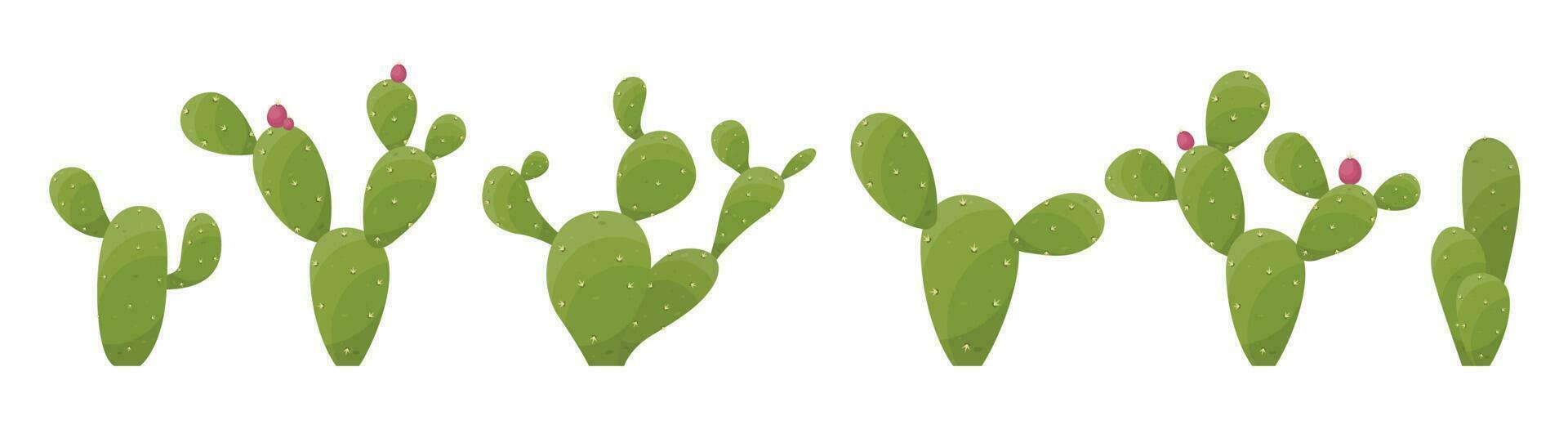 Cartoon desert cactus plants isolated on white. Desert plants vector illustration