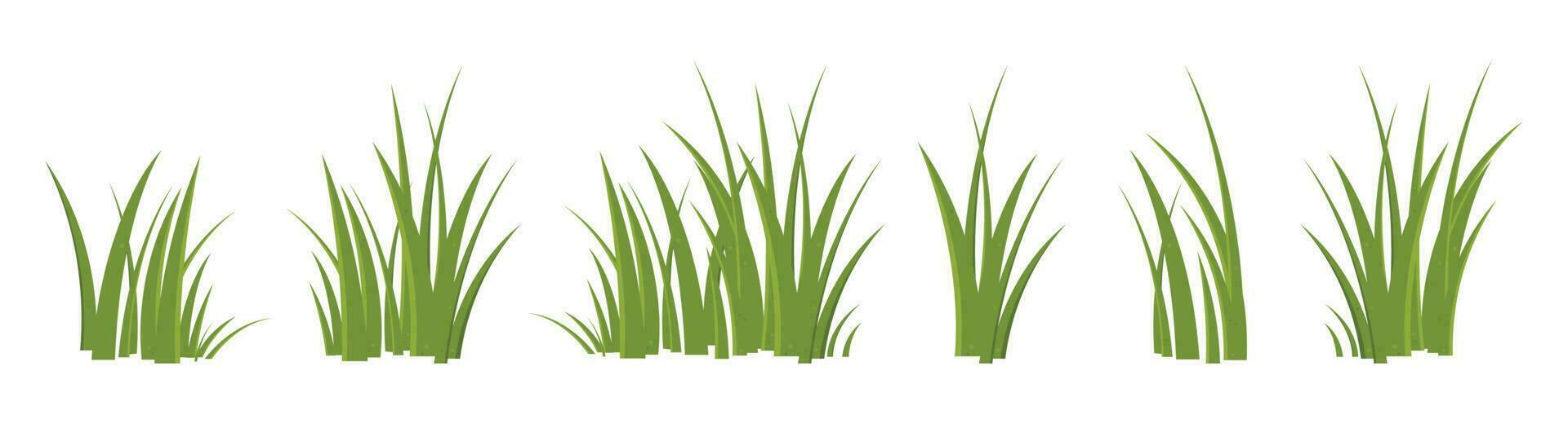 Cartoon grass leaves collection vector illustration isolated on white