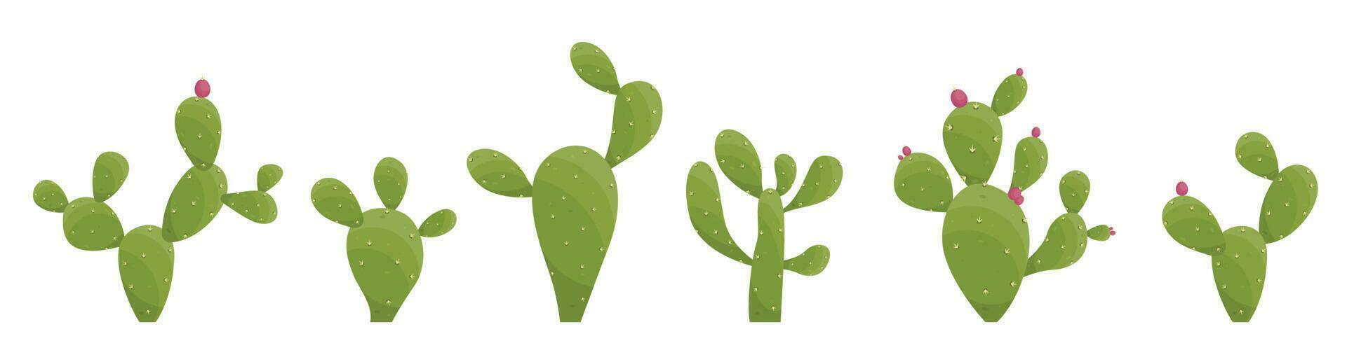 Cartoon desert cactus plants isolated on white. Desert plants vector illustration