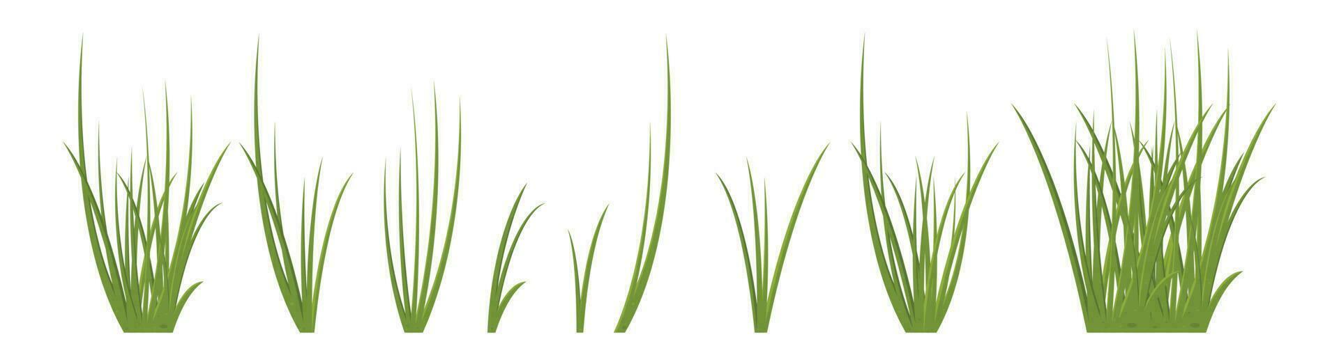 Cartoon grass leaves collection vector illustration isolated on white