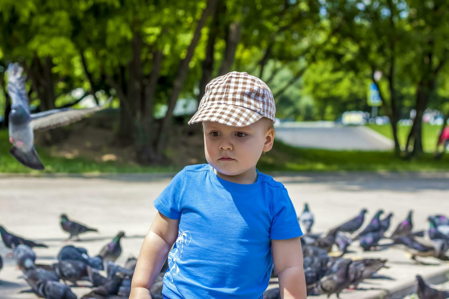 The boy with the birds. Feeding the pigeons. The child has fun to play with birds. photo