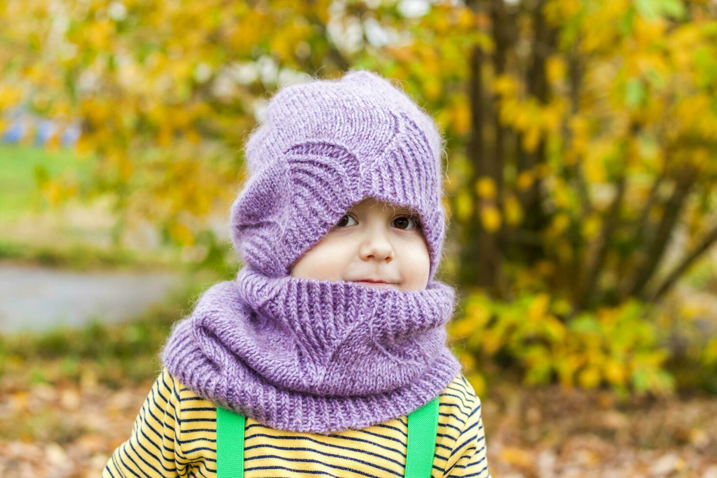 A child in a purple knitted hat and scarf. Portrait of a child against the background of autumn trees. Cute smiling boy. photo