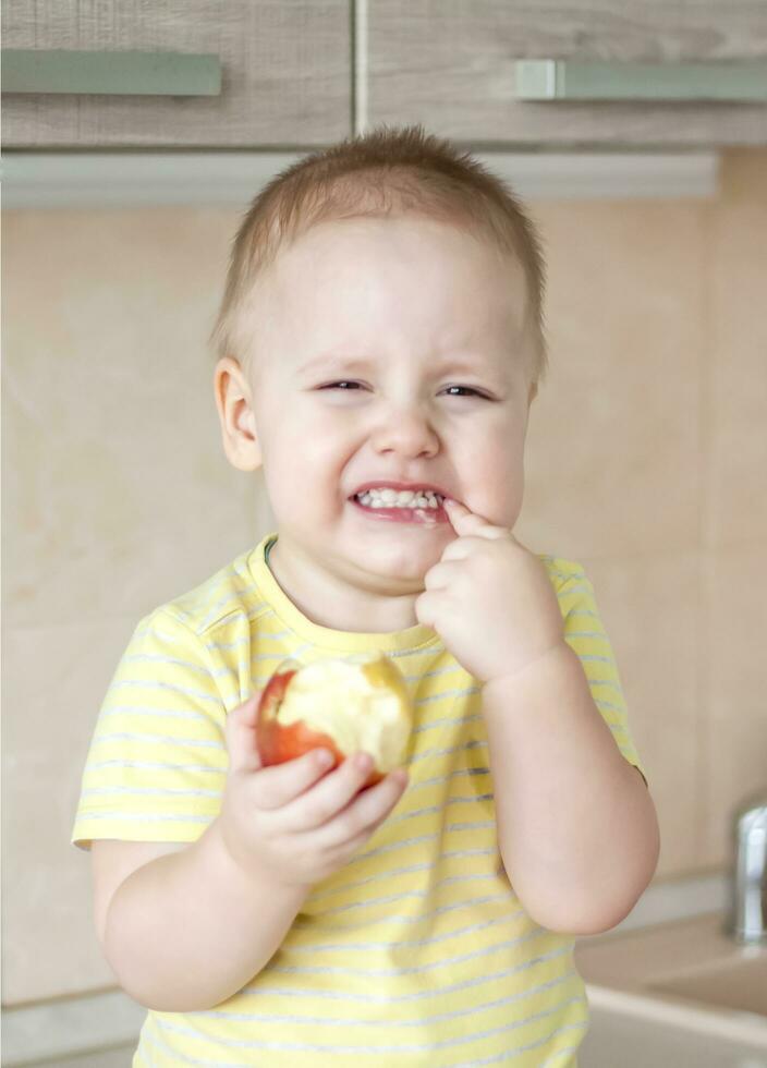 The boy is sitting on the kitchen table eating an Apple and laughing very hard photo