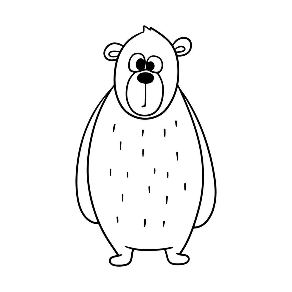 Cute line funny bear. Hand drawn character forest animal isolated on white background. Woodland outline illustration for coloring book vector