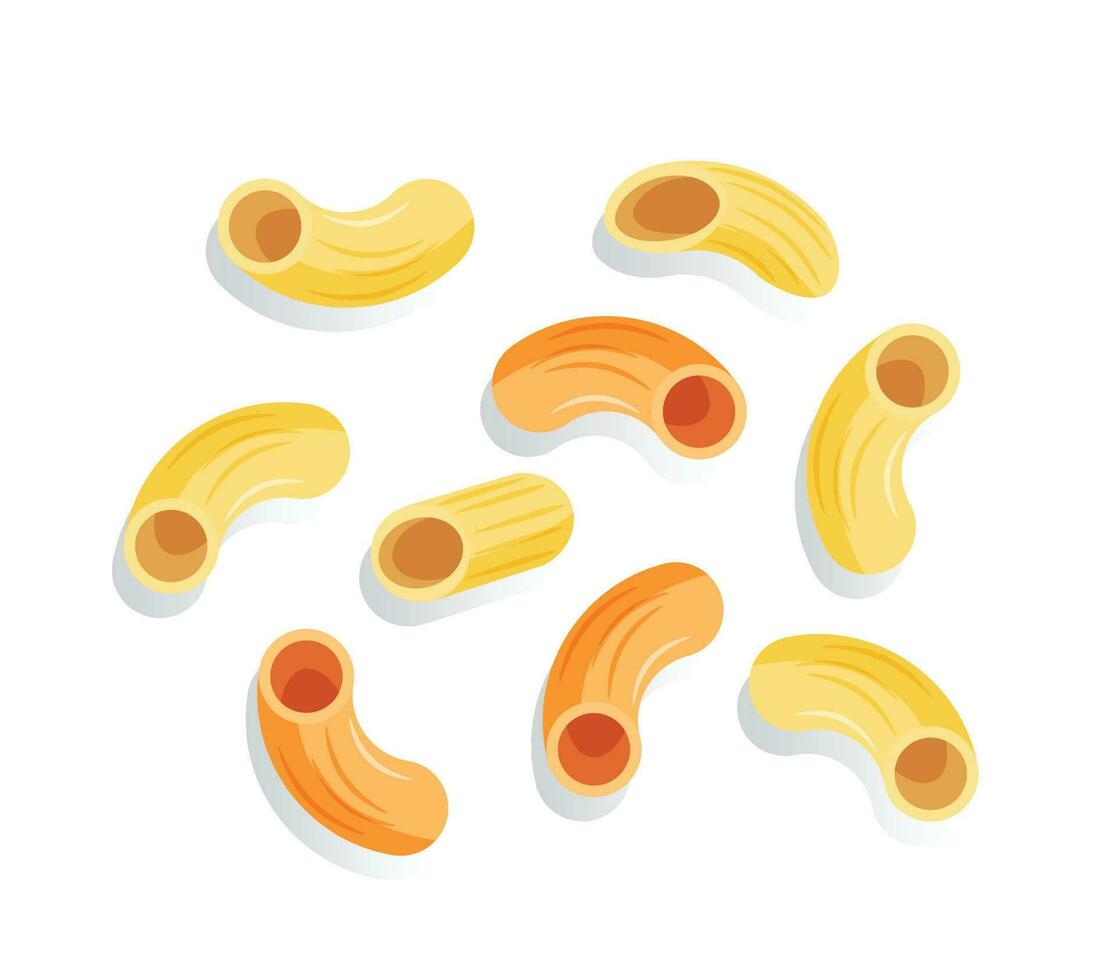 macaroni noodle isolated vector illustration