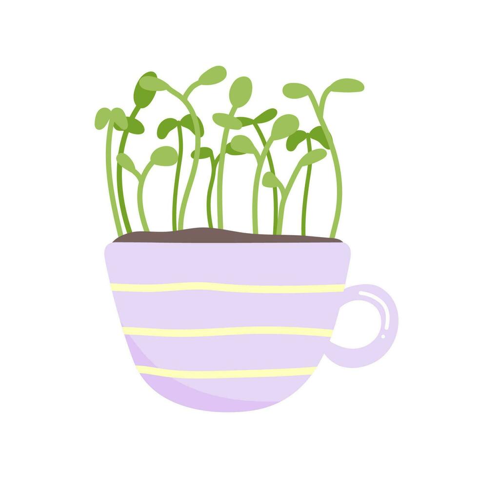 Fresh organic micro green superfoods growing in a pot. Young sprouts. Healthy, vegetarian food. Raw sprouts, microgreens, healthy eating concept. Vector illustration