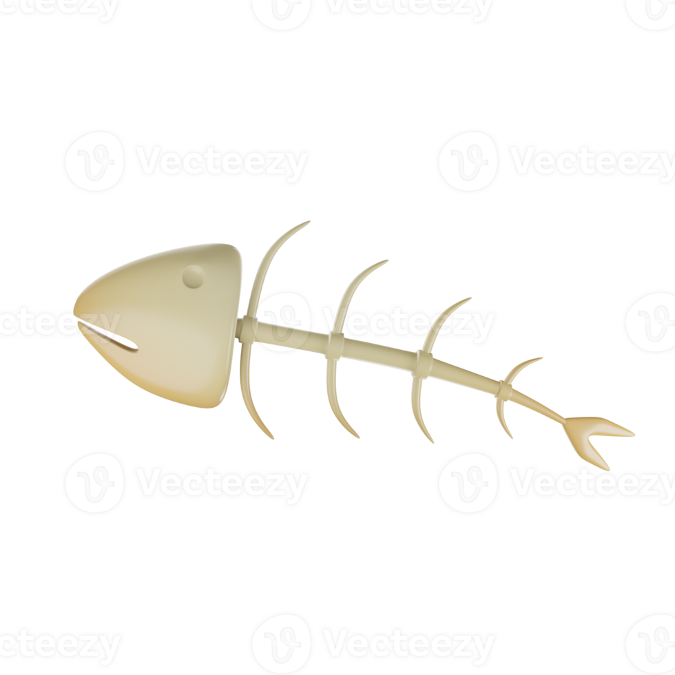 dog' bone 3d object on png background,cat'bone