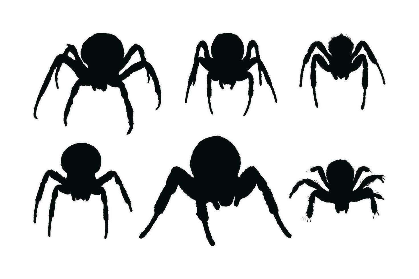Furry spiders and insects sitting, silhouettes on a white background. Wild insects sitting in different positions. Dangerous tarantula spiders silhouette bundle. Spider full body silhouette collection vector