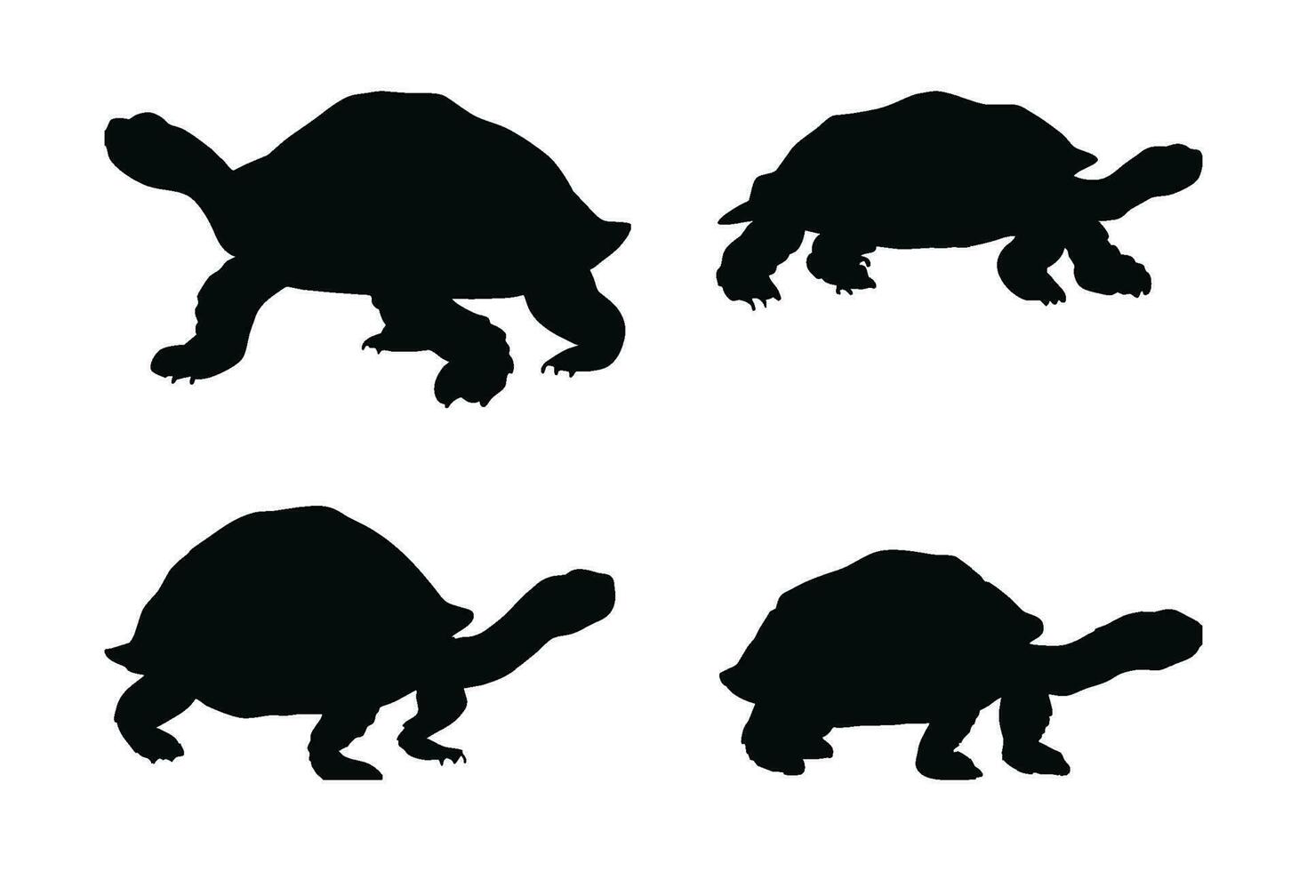 Wild tortoises standing, silhouettes on a white background. Sea creatures and tortoises walking in different positions. Turtle full body silhouette collection. Wild tortoise silhouette bundle. vector