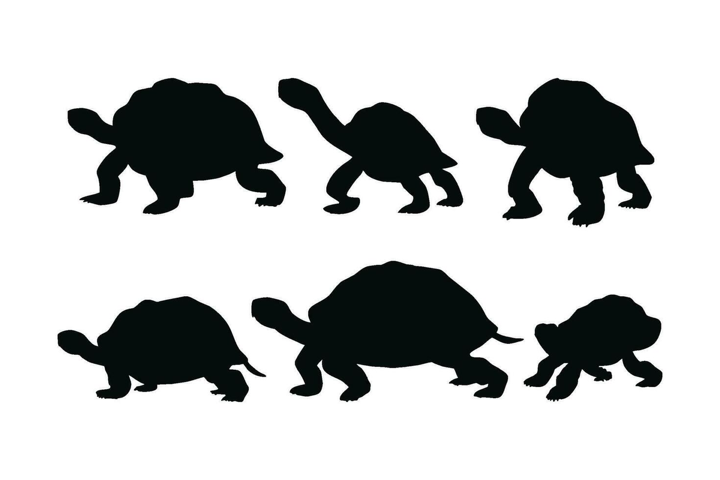 Tortoise walking in different positions, silhouette set vector. Big tortoise silhouette collection on a white background. Wild sea creatures like tortoises or turtles, full body silhouette bundles. vector