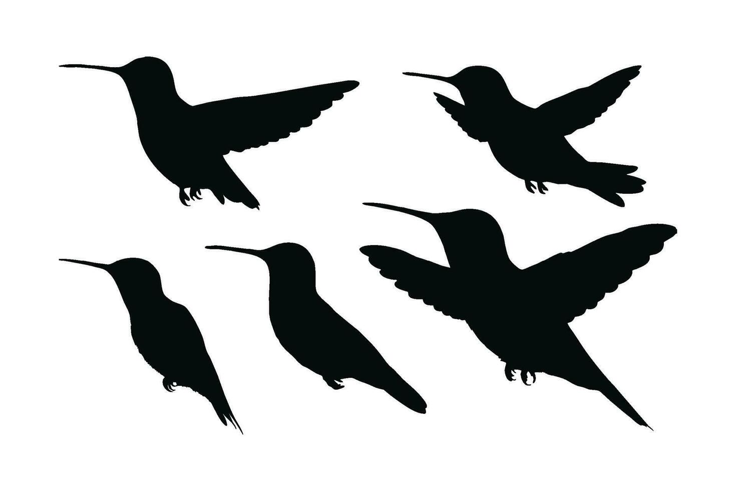 Hummingbird flying in different positions, silhouette set vector. Small hummingbird silhouette collection on a white background. Beautiful birds and fowl, full body silhouette bundles. vector