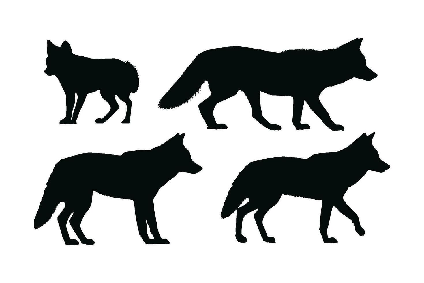 coyote caminando silueta haz diseño. salvaje coyotes vector diseño en un blanco antecedentes. coyote en pie en diferente posiciones silueta recopilación. coyote lobo caminando silueta conjunto vector.