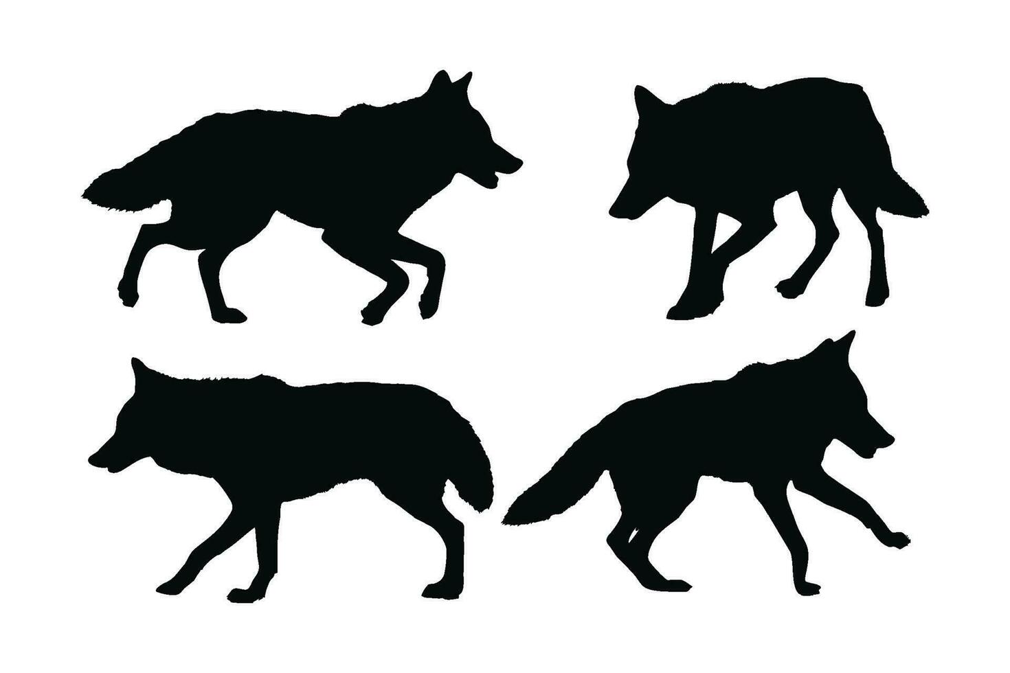 salvaje coyote caminando silueta conjunto vector en un blanco antecedentes. carnívoro salvaje lobo silueta haz diseño. coyote caminando y en pie en diferente posiciones. lobo lleno cuerpo silueta recopilación.