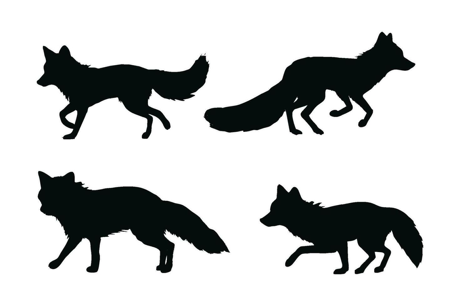 Foxes walking different positions, silhouette set vector. Adult fox silhouette collection on a white background. Carnivore animals like foxes, jackals, and varmints full body silhouette bundles. vector