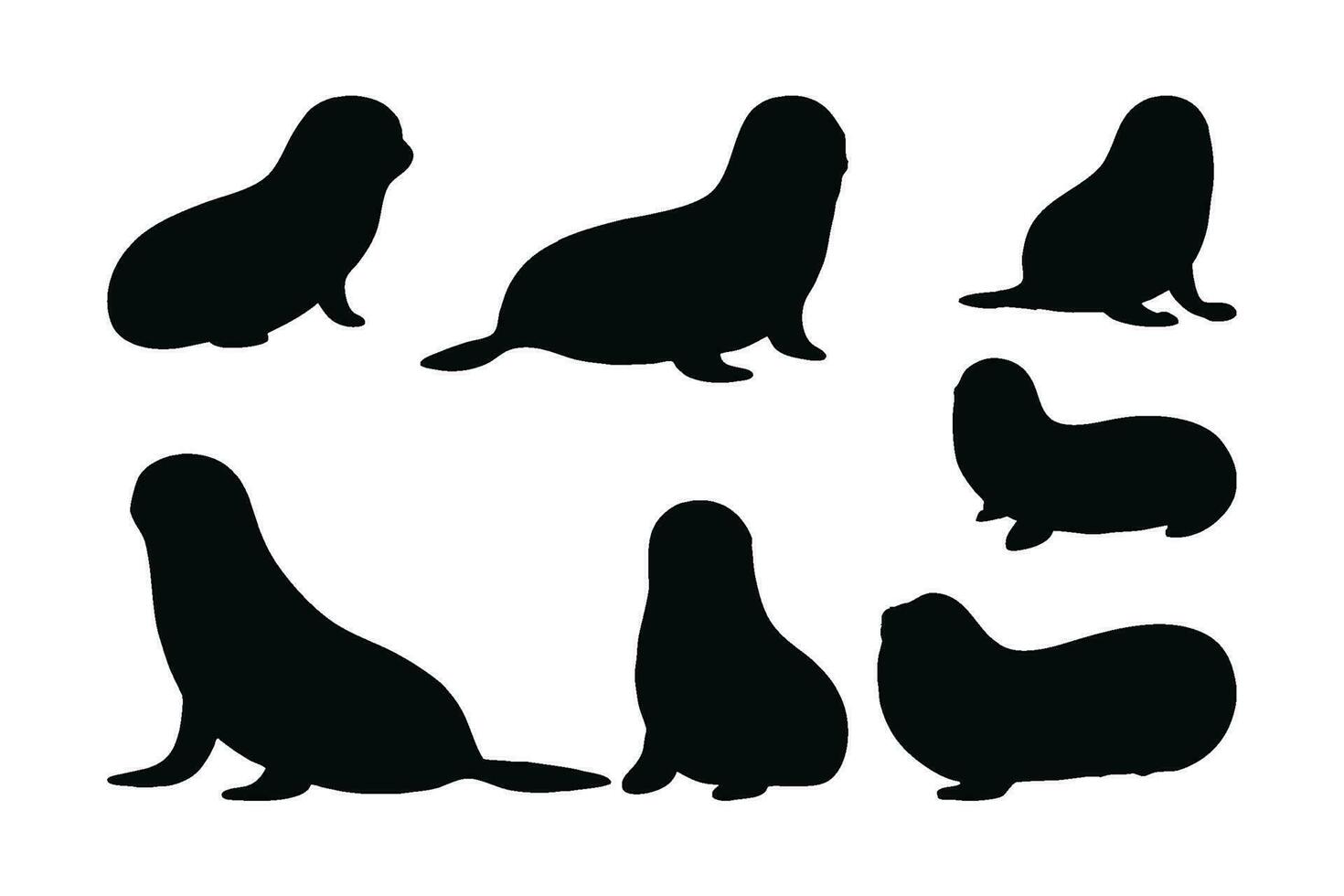 Seals crawling in different positions, silhouette set vector. Adult seals silhouette collection on a white background. Beautiful sea creatures like seals and sea lions full body silhouette bundles. vector