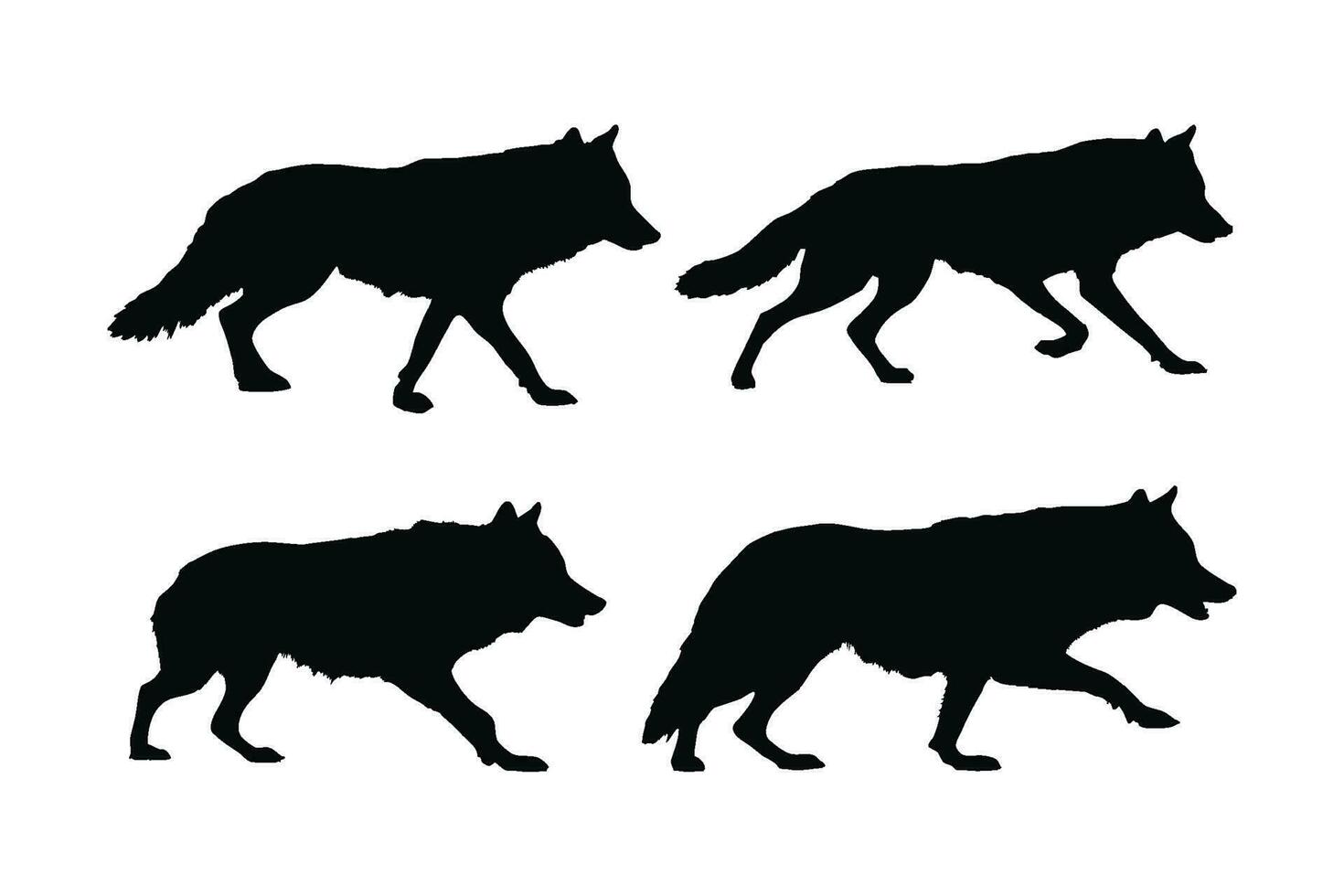 salvaje lobo vector diseño en un blanco antecedentes. Lobos caminando silueta haz diseño. salvaje Lobos caminando silueta conjunto vector. grande depredador en pie en diferente posiciones silueta recopilación.