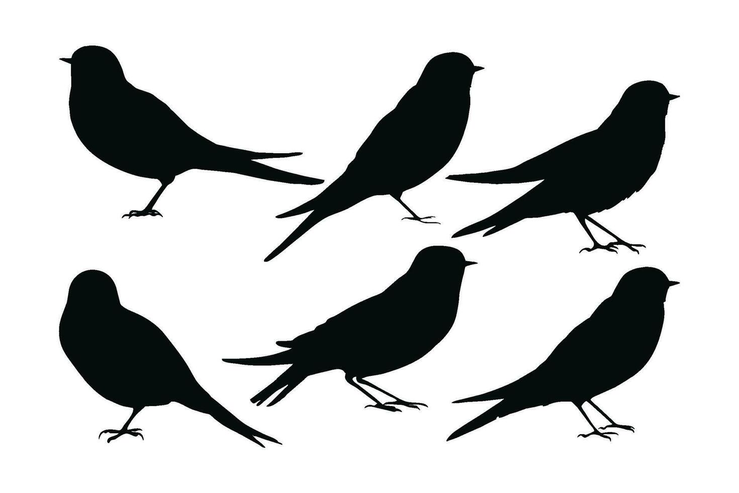 Beautiful birds sitting and flying in different positions. Wild swallows bird flying, silhouettes on a white background. Swallows full body silhouette collection. Wild swallows bird silhouette bundle. vector