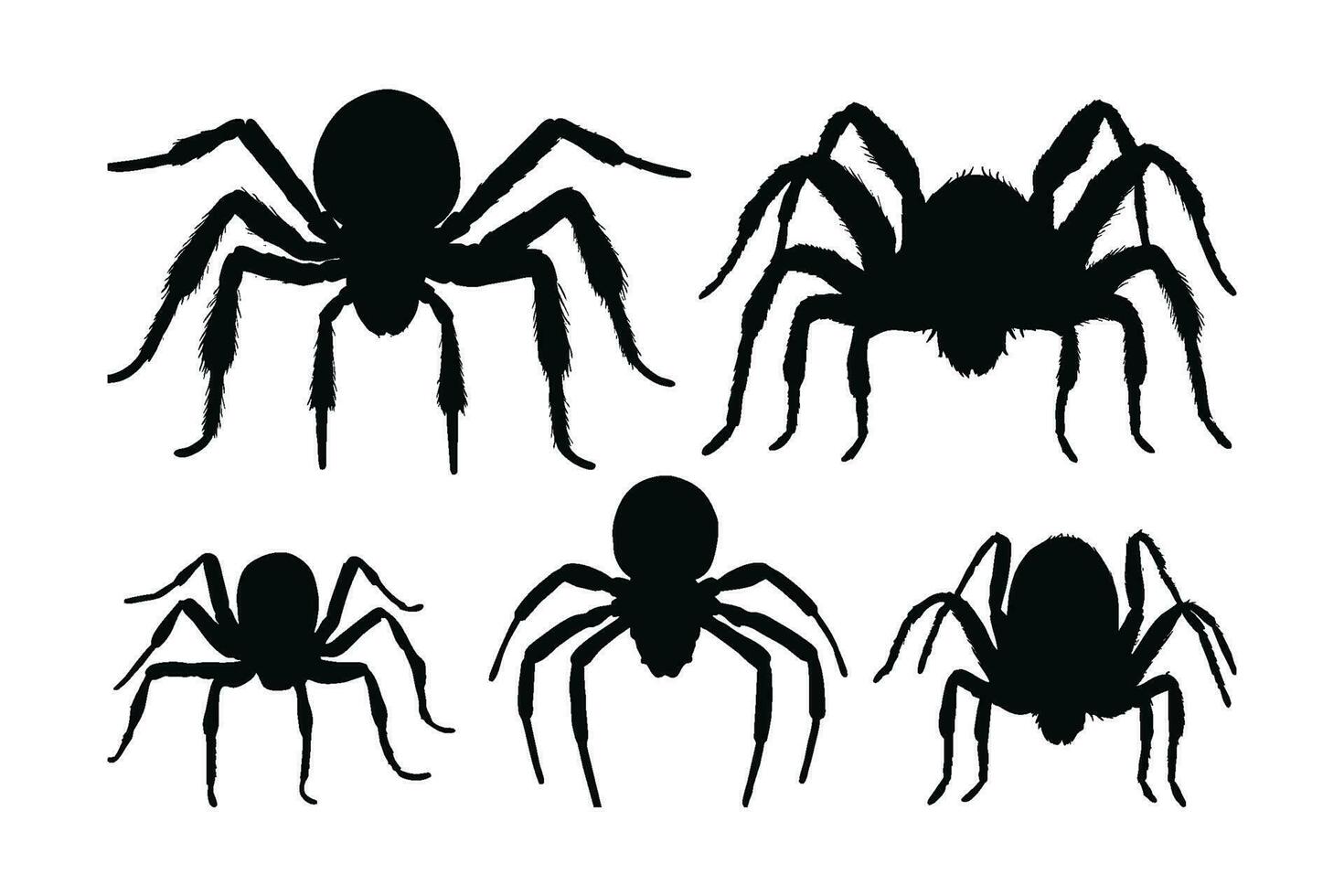 Spider walking silhouette bundle design. Wild spider vector design on a white background. Dangerous insects walking silhouette set vector. small insects in different positions silhouette collection.