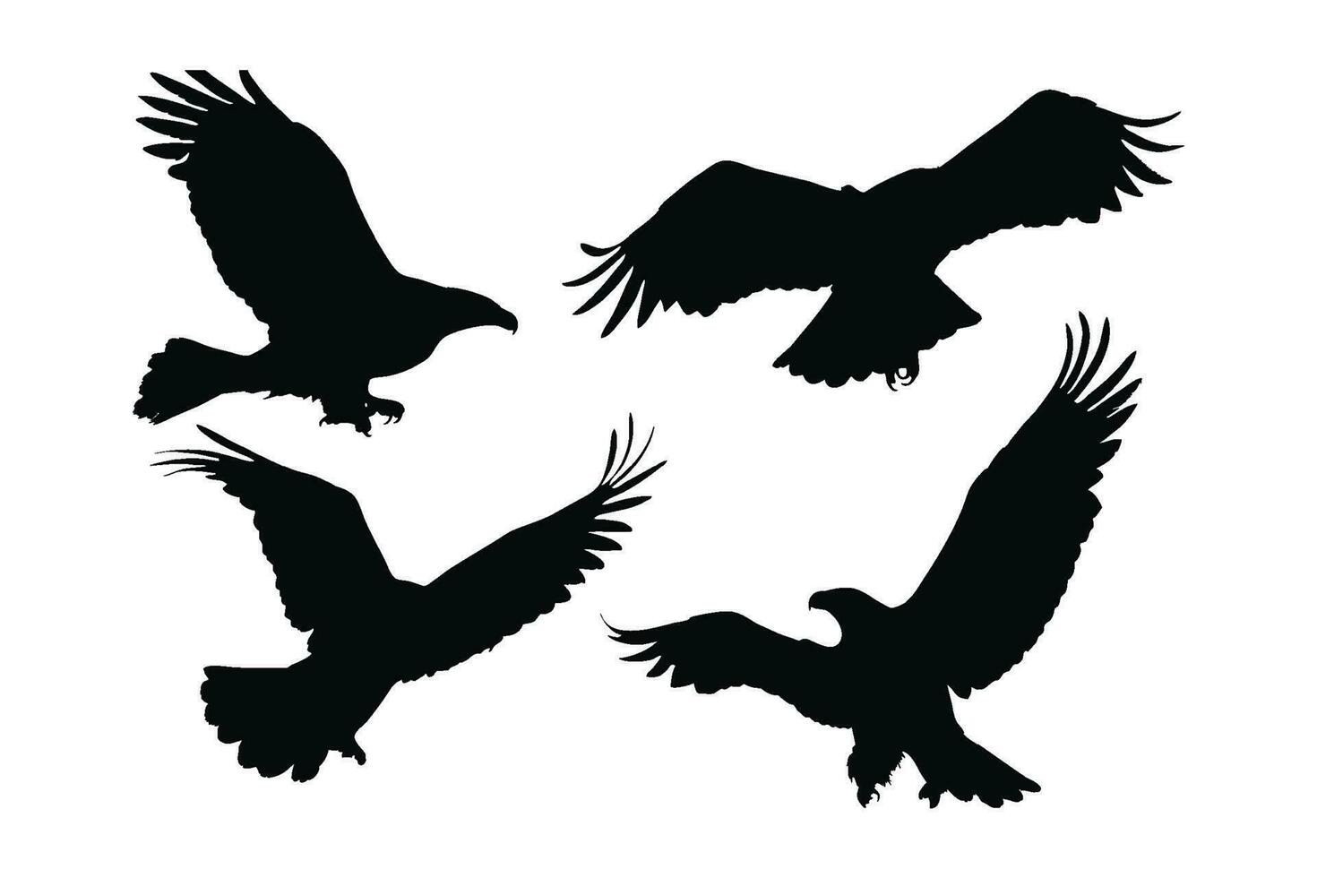 Big bird in different positions silhouette bundle design. Wild eagle flying silhouette set vector. Wild eagle vector design on a white background. Eagle flying silhouette collection.