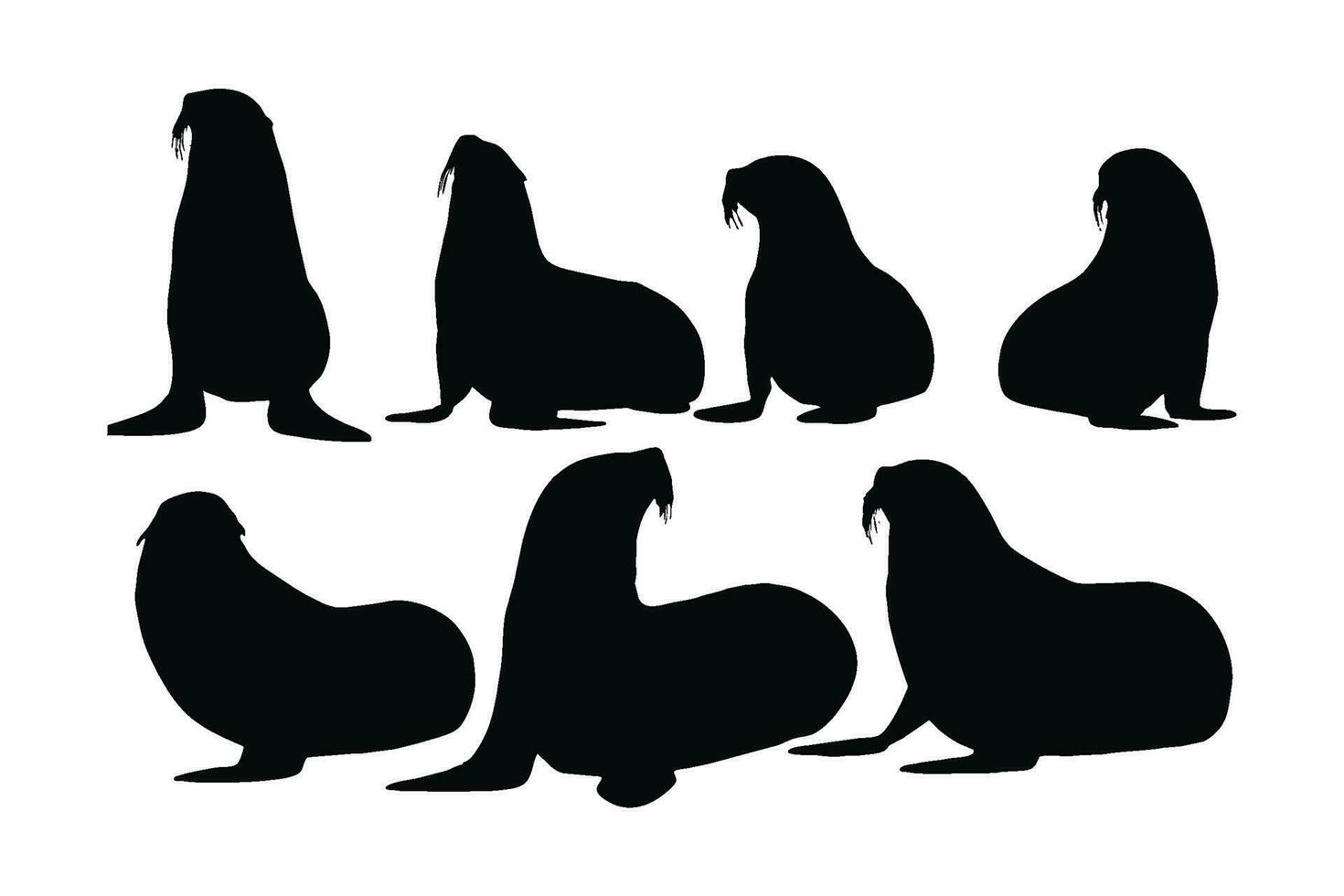 Wild sea lions sitting in different positions. Big sea creatures and sea lions sitting, silhouette on a white background. Seals full body silhouette collection. Big sea lion silhouette bundle design. vector