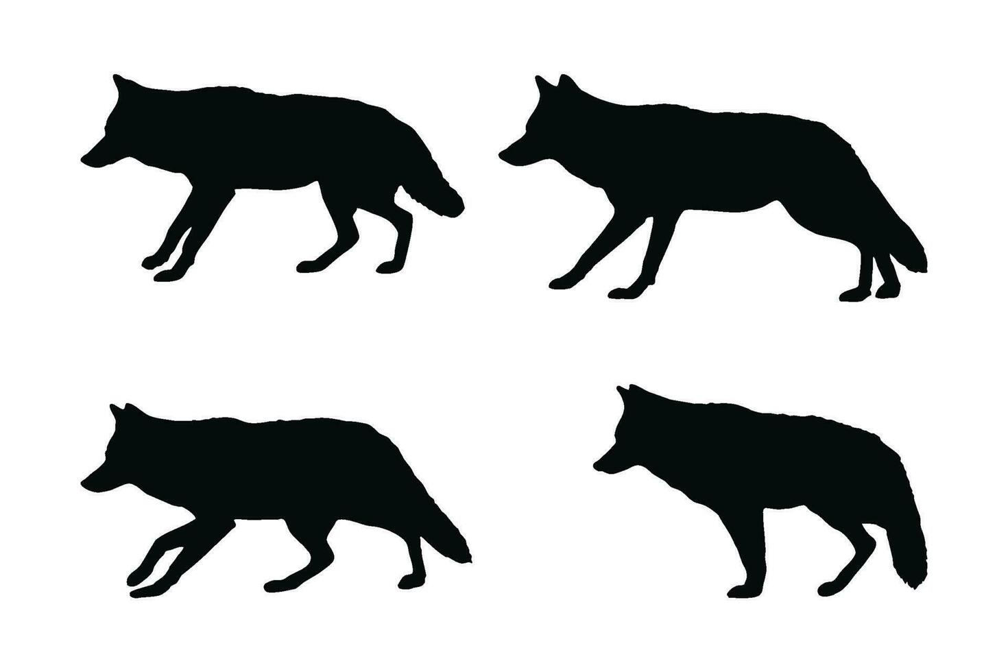 Coyote silhouette vector collection on a white background. Wild coyotes standing silhouette set design. Coyote standing and sitting. Coyote wolf black and white silhouette vector bundle.