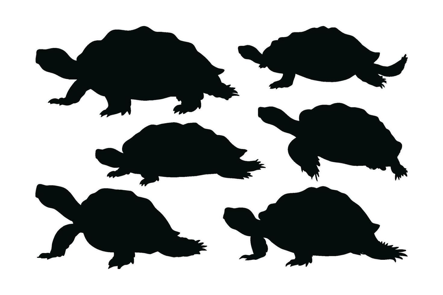 mar criaturas y reptiles me gusta tortugas caminando en diferente posiciones. salvaje Tortuga de pie, siluetas en un blanco antecedentes. tortuga lleno cuerpo silueta recopilación. salvaje Tortuga silueta haz vector