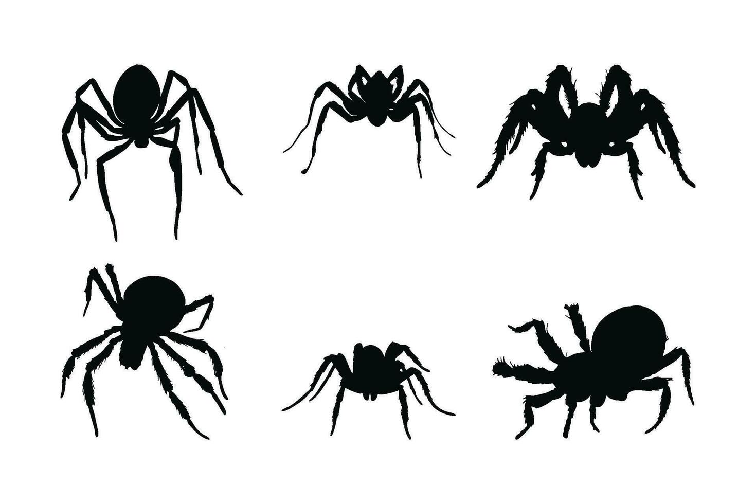 Dangerous tarantula spiders silhouette bundle. Wild insects sitting in different positions. Spider full body silhouette collection. Furry spiders and insects sitting, silhouettes on a white background vector